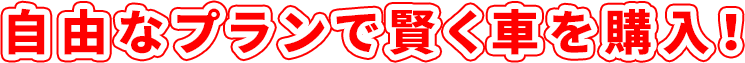 自由なプランで賢く車を購入!